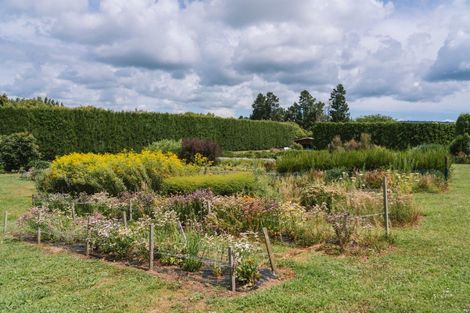 Photo of property in 259 Wainui Road South, Whakamarama, Katikati, 3181
