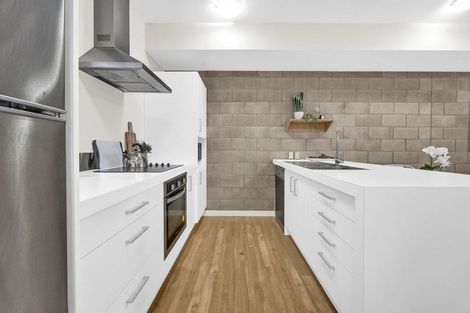 Photo of property in 3uj Papawai Terrace, Mount Cook, Wellington, 6021