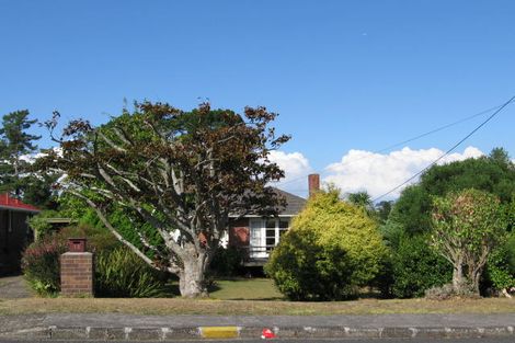 Photo of property in 12 Tiki Street, New Lynn, Auckland, 0600