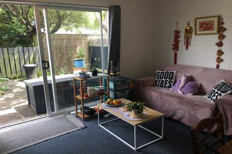 Photo of property in 5/17 Udy Street, Petone, Lower Hutt, 5012