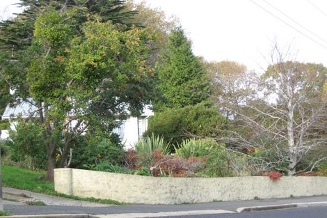 Photo of property in 54 Lonsdale Street, Belleknowes, Dunedin, 9011