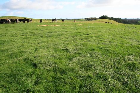 Photo of property in 192 Dover Road, Okato, New Plymouth, 4374