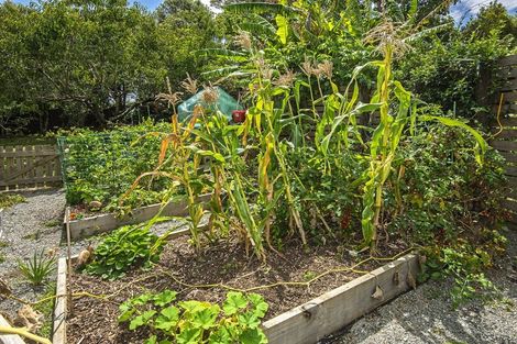 Photo of property in 321 Vinegar Hill Road, Kauri, Kamo, 0185