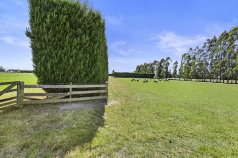 Photo of property in 1731 Clintons Road, Darfield, 7571