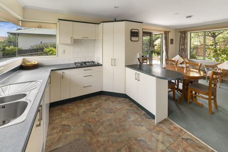 Photo of property in 98 Templemore Drive, Richmond, 7020