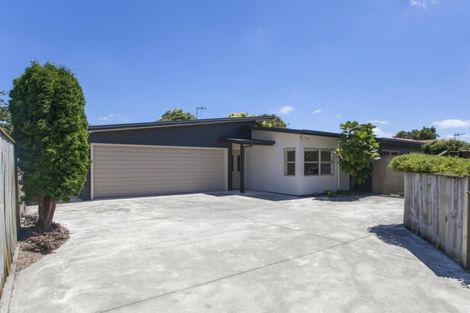Photo of property in 36c Fitzroy Street, Terrace End, Palmerston North, 4410