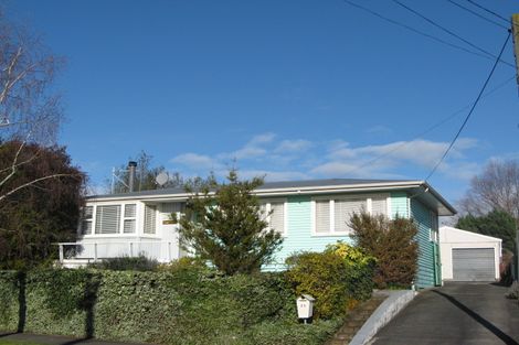 Photo of property in 33 Given Street, Havelock North, 4130