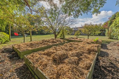 Photo of property in 8 Marion Place, Lincoln, 7608