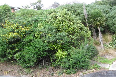 Photo of property in 54 Ravenswood Road, Saint Clair, Dunedin, 9012