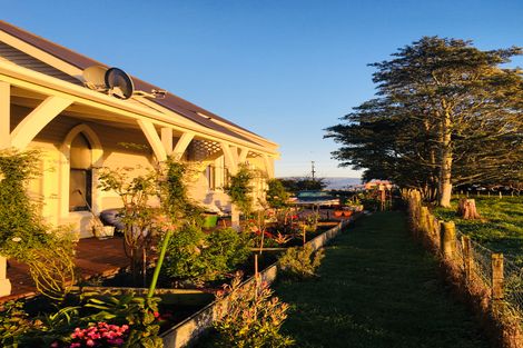 Photo of property in 269 Bidwills Cutting Road, Morison Bush, Greytown, 5794