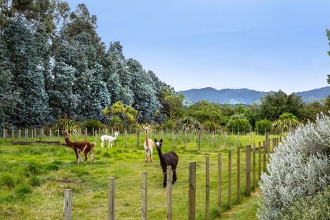 Photo of property in 75 Andersons Line, Clareville, Carterton, 5713