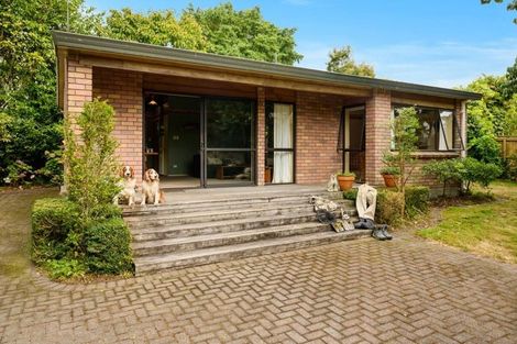 Photo of property in 6 Manuariki Road, Ngongotaha, Rotorua, 3010