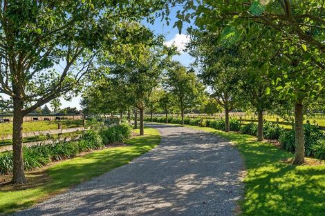 Photo of property in 23a Hupenui Road, Ahikouka, Greytown, 5794