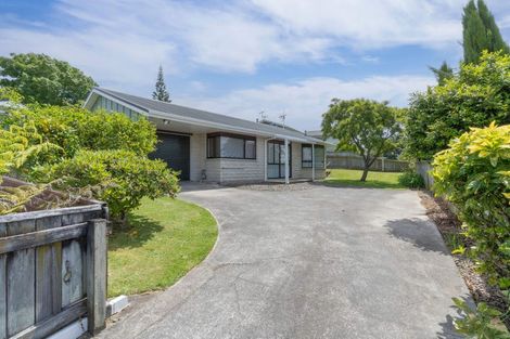 Photo of property in 125 Winchester Street, Levin, 5510