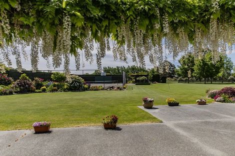 Photo of property in 46 Dalziels Road, Fernside, Rangiora, 7471