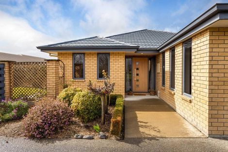 Photo of property in 13 Tremorne Avenue, Blenheim, 7201