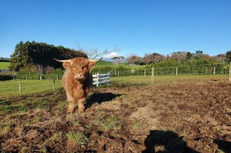 Photo of property in 532 Egmont Road, Hillsborough, New Plymouth, 4372
