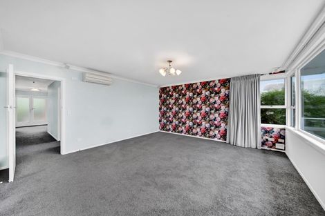 Photo of property in 17 Skinner Street, Blagdon, New Plymouth, 4310