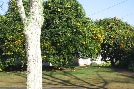 Photo of property in 9 Macfarlane Street, Hamilton East, Hamilton, 3216