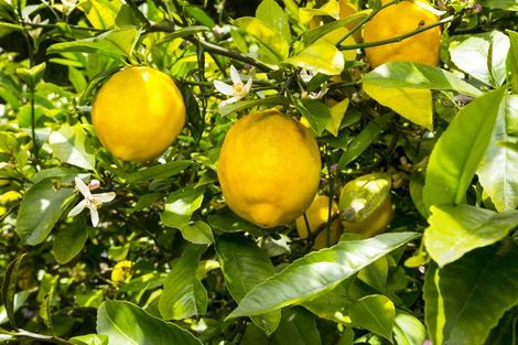 Photo of property in 1176 Fergusson Drive, Clouston Park, Upper Hutt, 5018