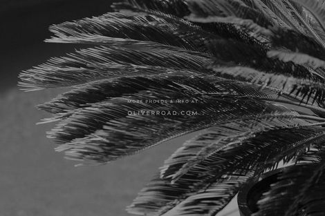 Photo of property in 52 Orange Lane, Bethlehem, Tauranga, 3110