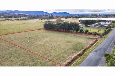 Photo of property in 16 Queen Street, Te Puke, 3119