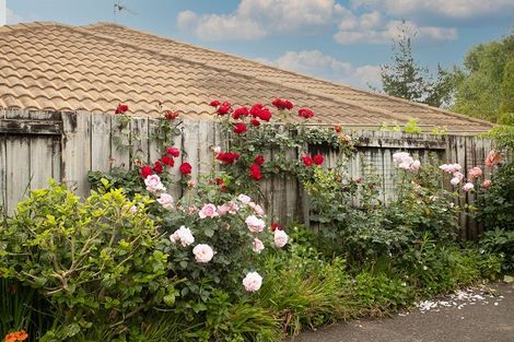 Photo of property in 8 Eagle Street, Welcome Bay, Tauranga, 3112