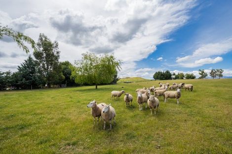 Photo of property in 1981 Omakau Chatto Ck Road, Chatto Creek, Alexandra, 9393