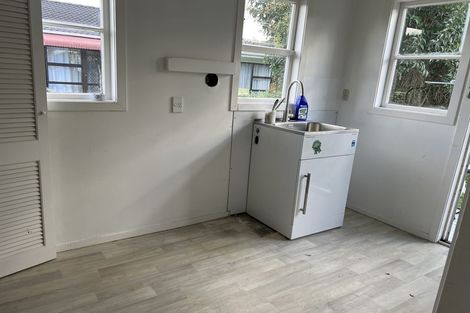 Photo of property in 13 Waiohua Road, Greenlane, Auckland, 1061