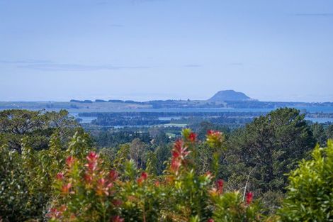 Photo of property in 360a Busby Road, Tahawai, Katikati, 3170