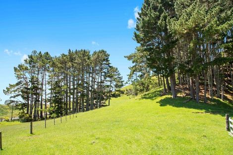 Photo of property in 865 Waikaretu Valley Road, Glen Murray, Tuakau, 2695