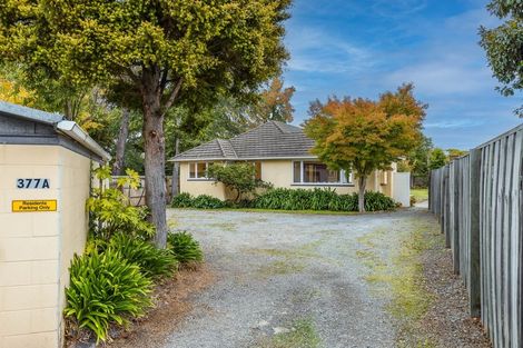 Photo of property in 377a Papanui Road, Strowan, Christchurch, 8052