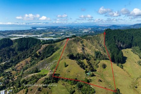 Photo of property in 175 Dehra Doon Road, Riwaka, Motueka, 7198