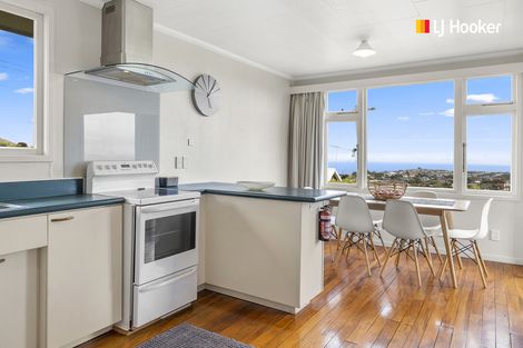 Photo of property in 20 Mckerrow Street, Shiel Hill, Dunedin, 9013