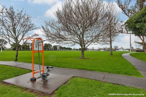 Photo of property in 44 Eastdale Road, Avondale, Auckland, 1026