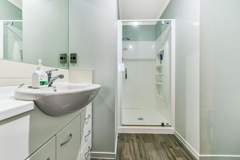 Photo of property in 56e Willoughby Street, Whitiora, Hamilton, 3200