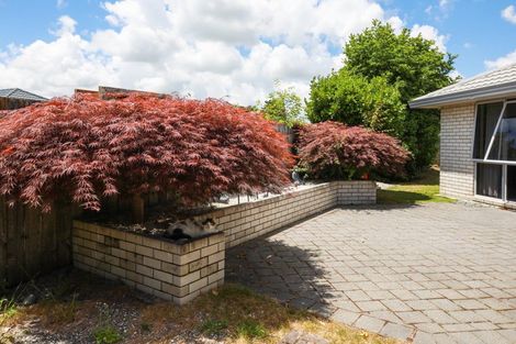 Photo of property in 6 Spinnaker Drive, Flagstaff, Hamilton, 3210