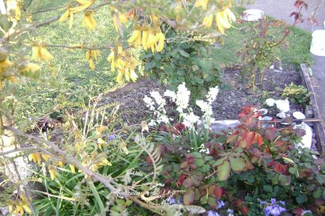 Photo of property in 66 Bronte Road East, Bronte, Upper Moutere, 7173