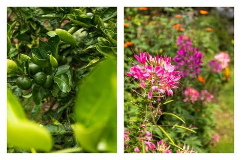 Photo of property in 4a Rata Street, Waihi, 3610