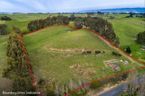 Photo of property in 48 Norsewood Ormondville Road, Norsewood, 4974