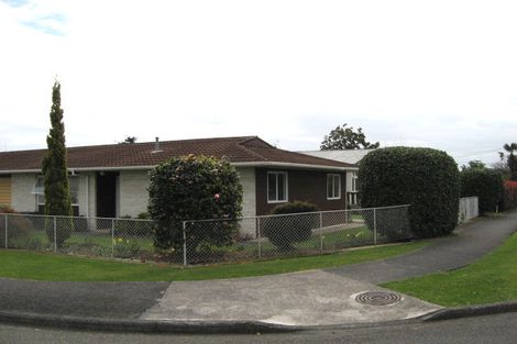 Photo of property in 17 Montgomery Street, Levin, 5510