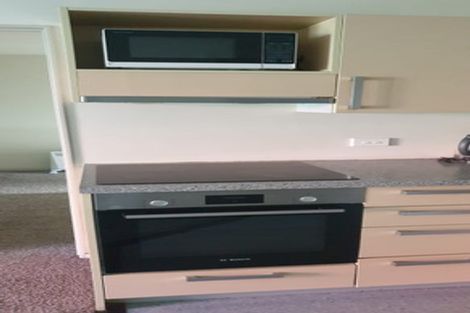 Photo of property in Dual Apartments, 110/142 Vivian Street, Te Aro, Wellington, 6011