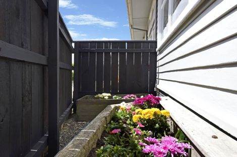 Photo of property in 40 D'arcy Street, Richmond, 7020