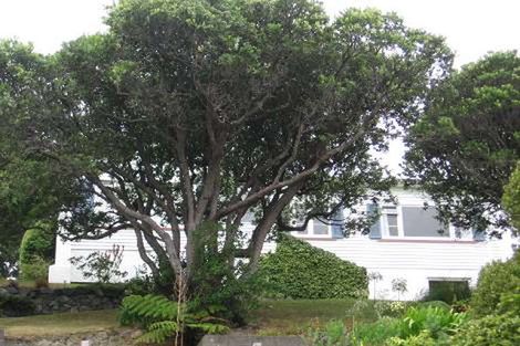 Photo of property in 17 Clutha Avenue, Khandallah, Wellington, 6035