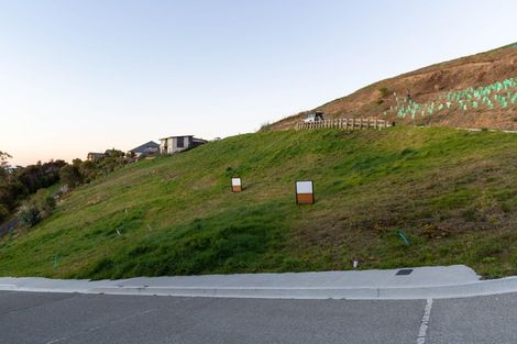 Photo of property in 3 Chamerion Way, Atawhai, 7010