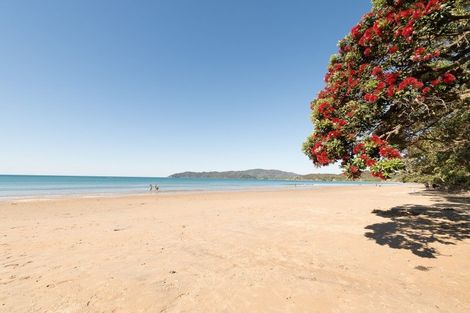 Photo of property in 56 Bayside Drive, Coopers Beach, 0420