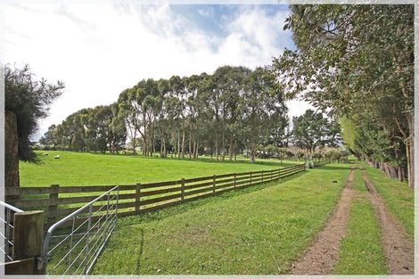Photo of property in 214 Kawiu Road, Levin, 5510