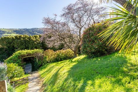 Photo of property in 2 Buchanan Street, North East Valley, Dunedin, 9010