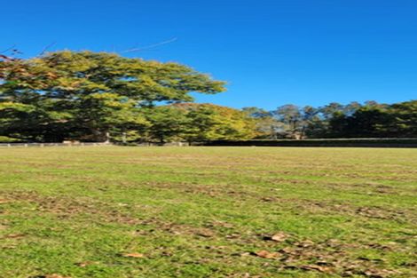 Photo of property in 108c Butcher Road, Matangi, Hamilton, 3284