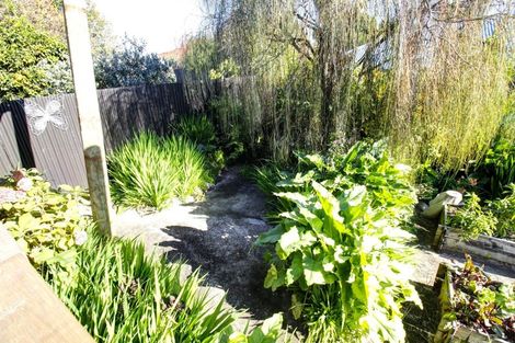 Photo of property in 29 Lucas Street, Riversdale, Blenheim, 7201